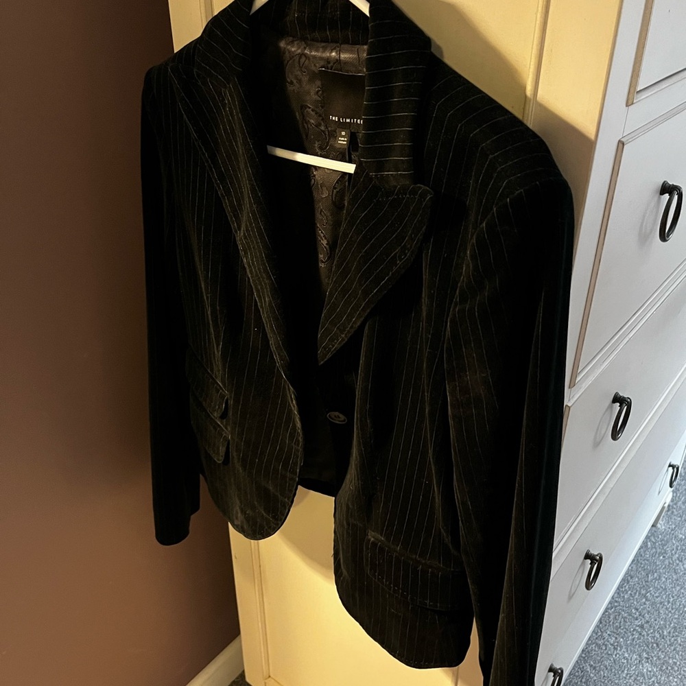 Vintage Velvet Pinstripe Blazer
